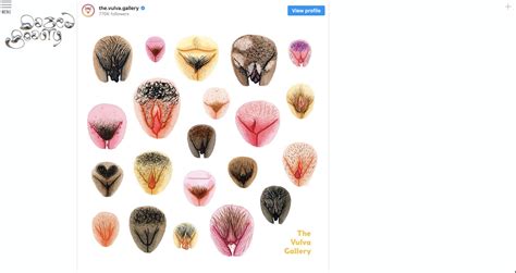 sexy vagina pictures|The Vulva Gallery (@the.vulva.gallery) • Instagram photos and。